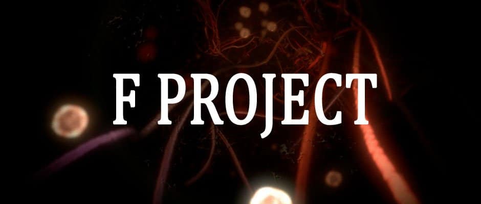 F Project
